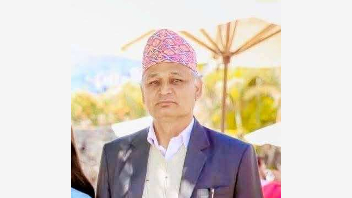 पाटन स्वास्थ्य विज्ञान प्रतिष्ठानको उपकुलपतिमा प्राध्यापक डा.पौडेल नियुक्त