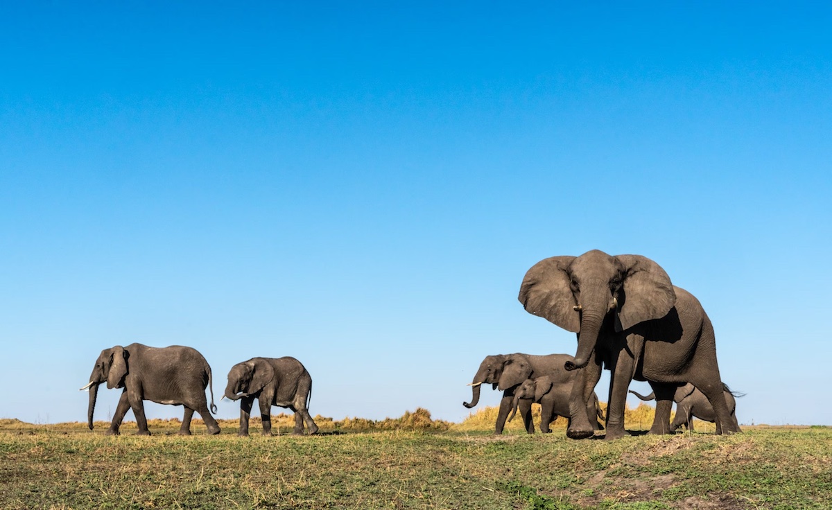 फाइल तस्बिर।