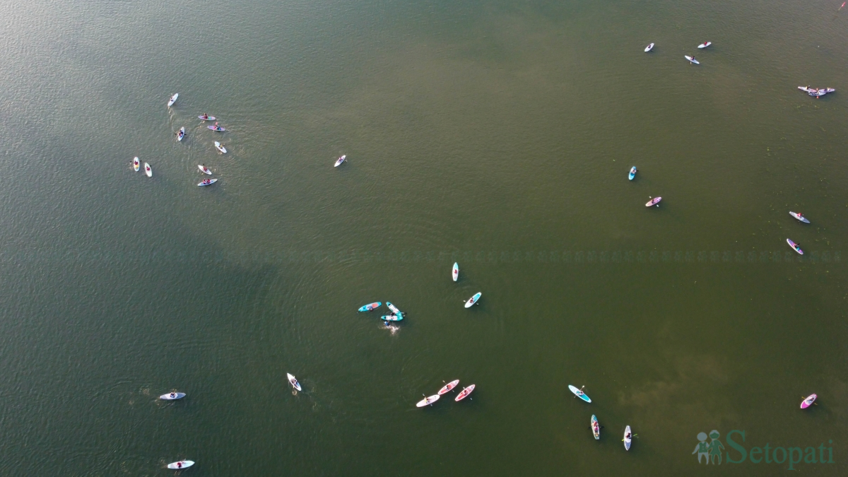 fewalake-(5)-1780471407.jpg