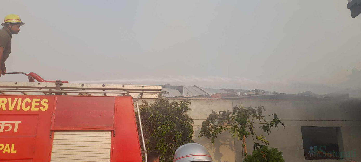 fire-(4)-1710157498.jpg