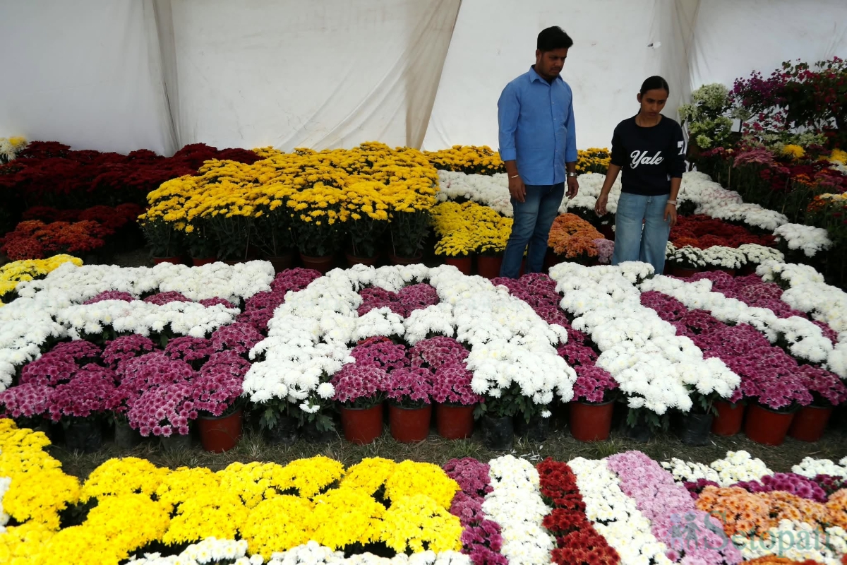 flower-(14)-1793264496.jpg