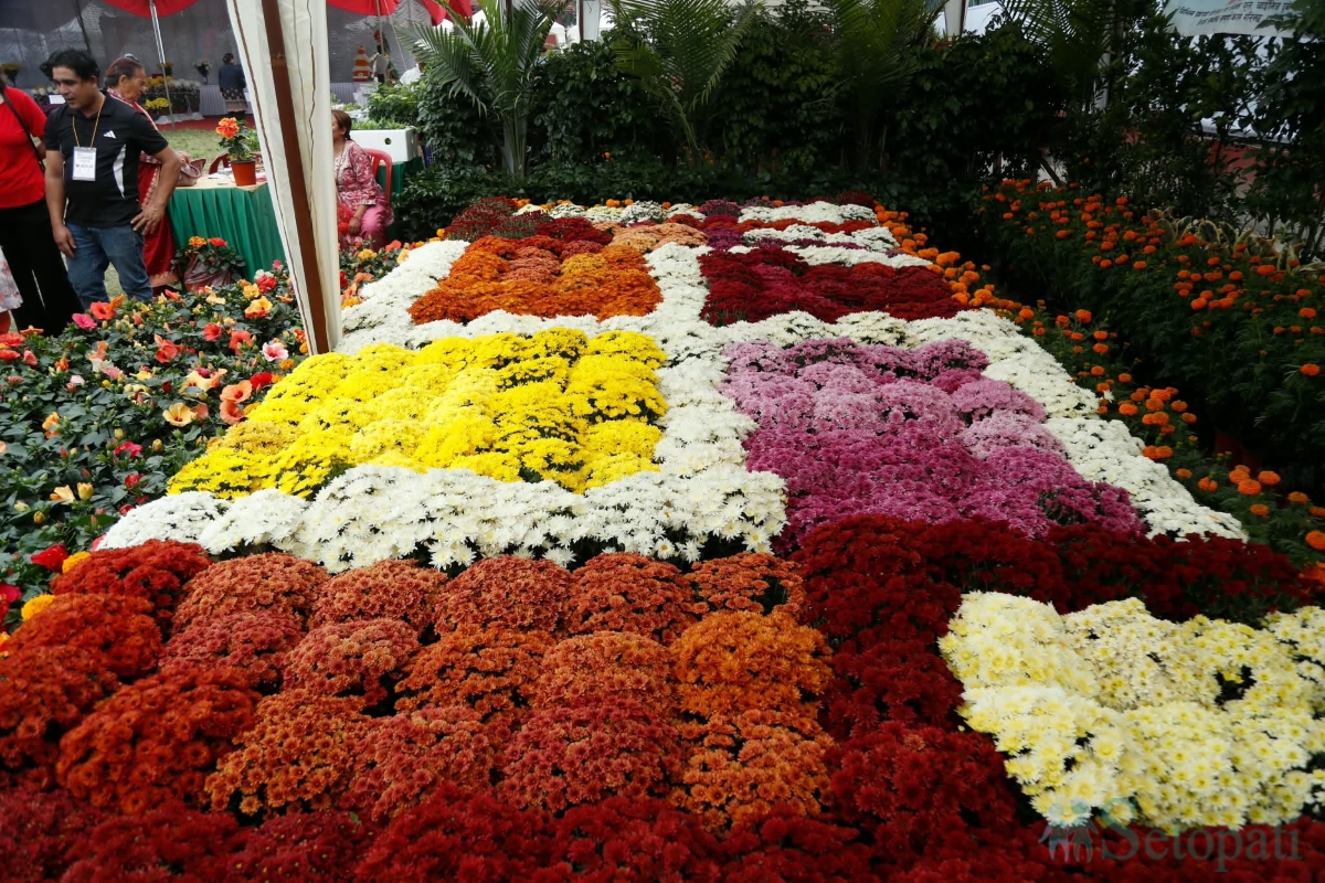 flower-(5)-1793264493.jpg