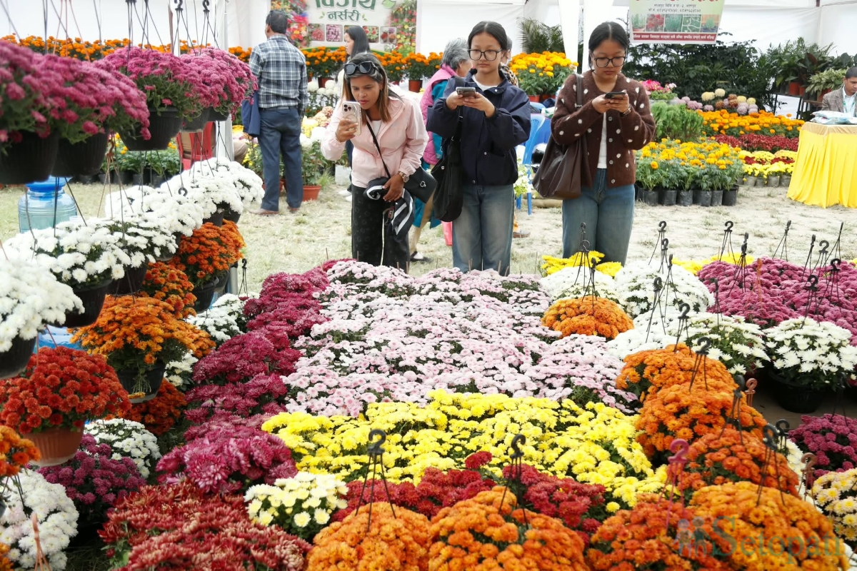 flower-(8)-1793264494.jpg
