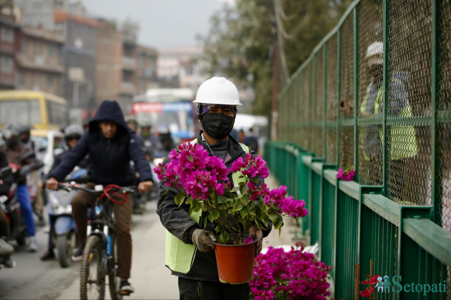 आजका तस्बिर- मंसिर २७