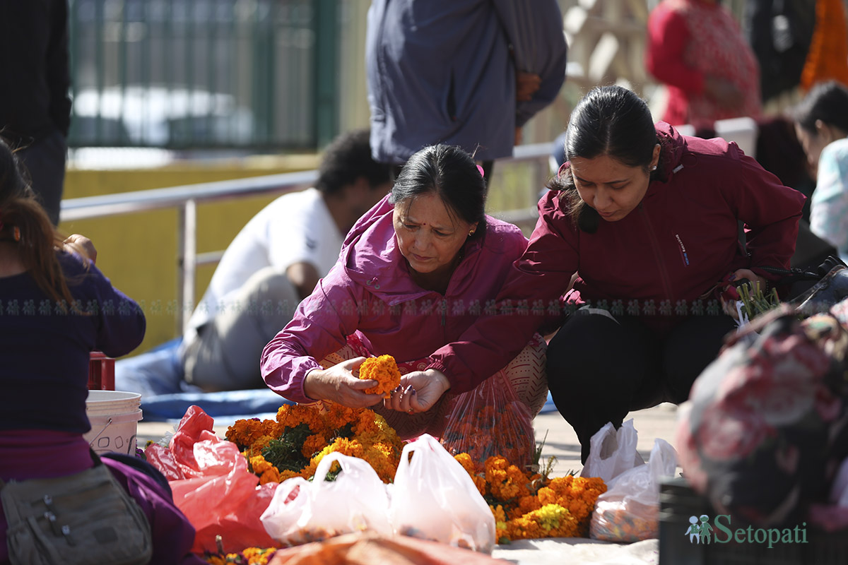 ful-tihar-(1)-1761129760.jpg