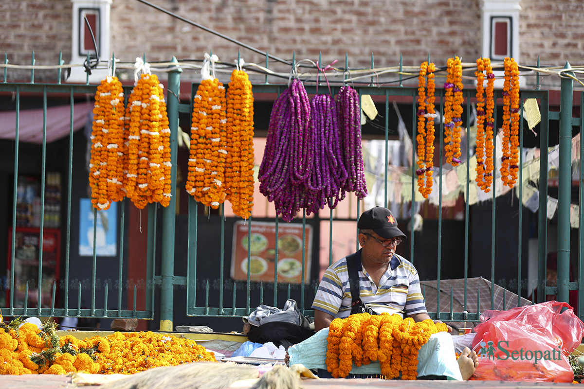 ful-tihar-(10)-1761129765.jpg