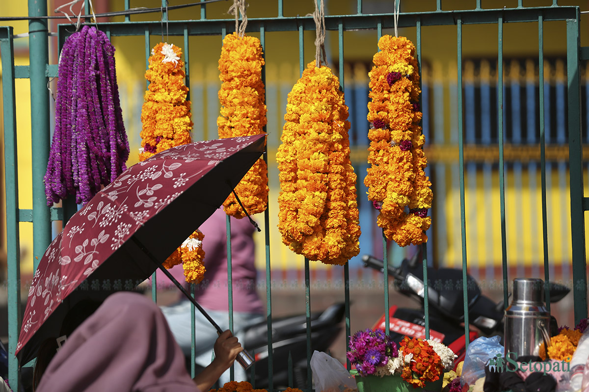 ful-tihar-(11)-1761129765.jpg