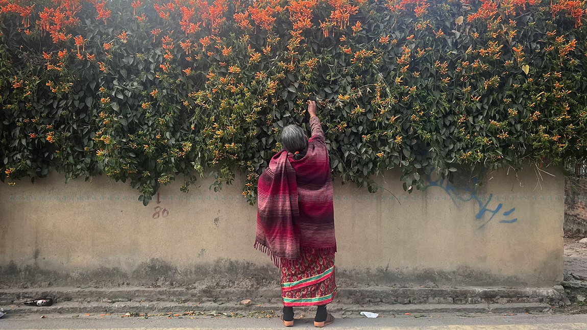 आजका तस्बिर- माघ ५