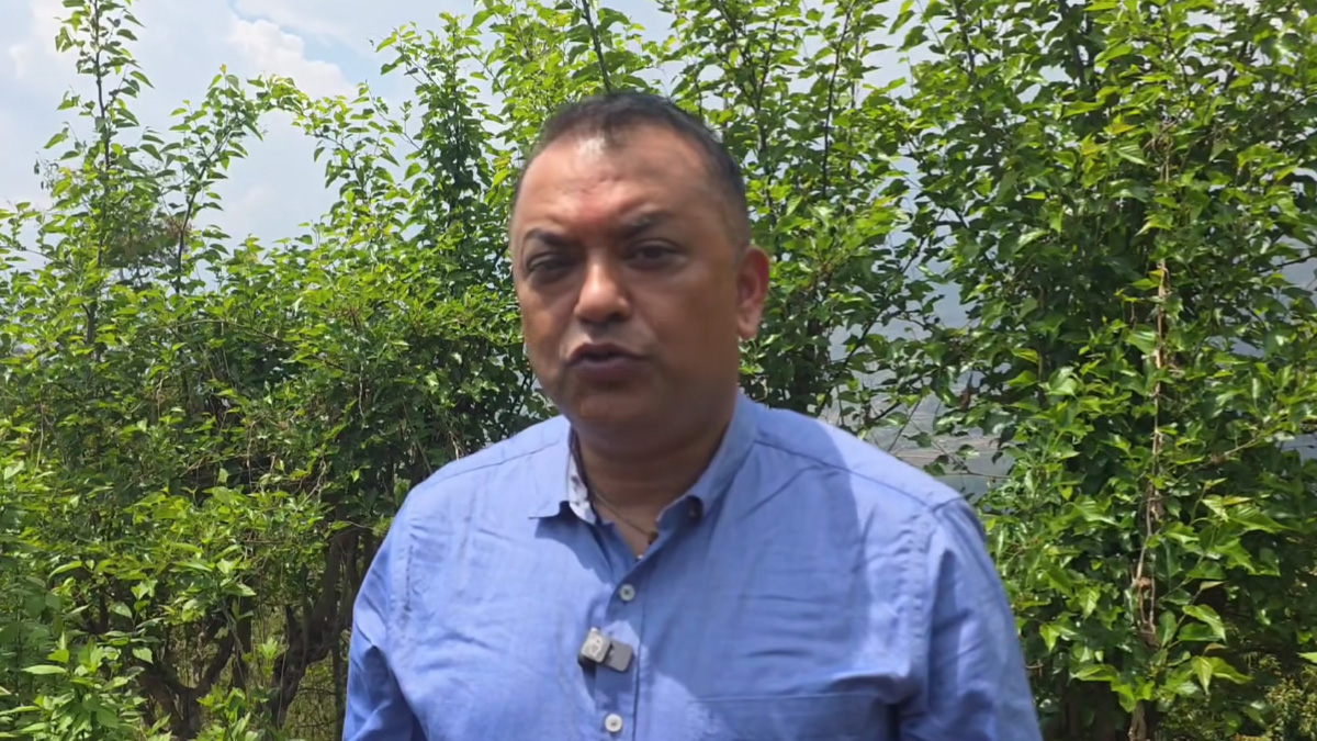 गगन थापाको घर अगाडि ढुंगामुढा