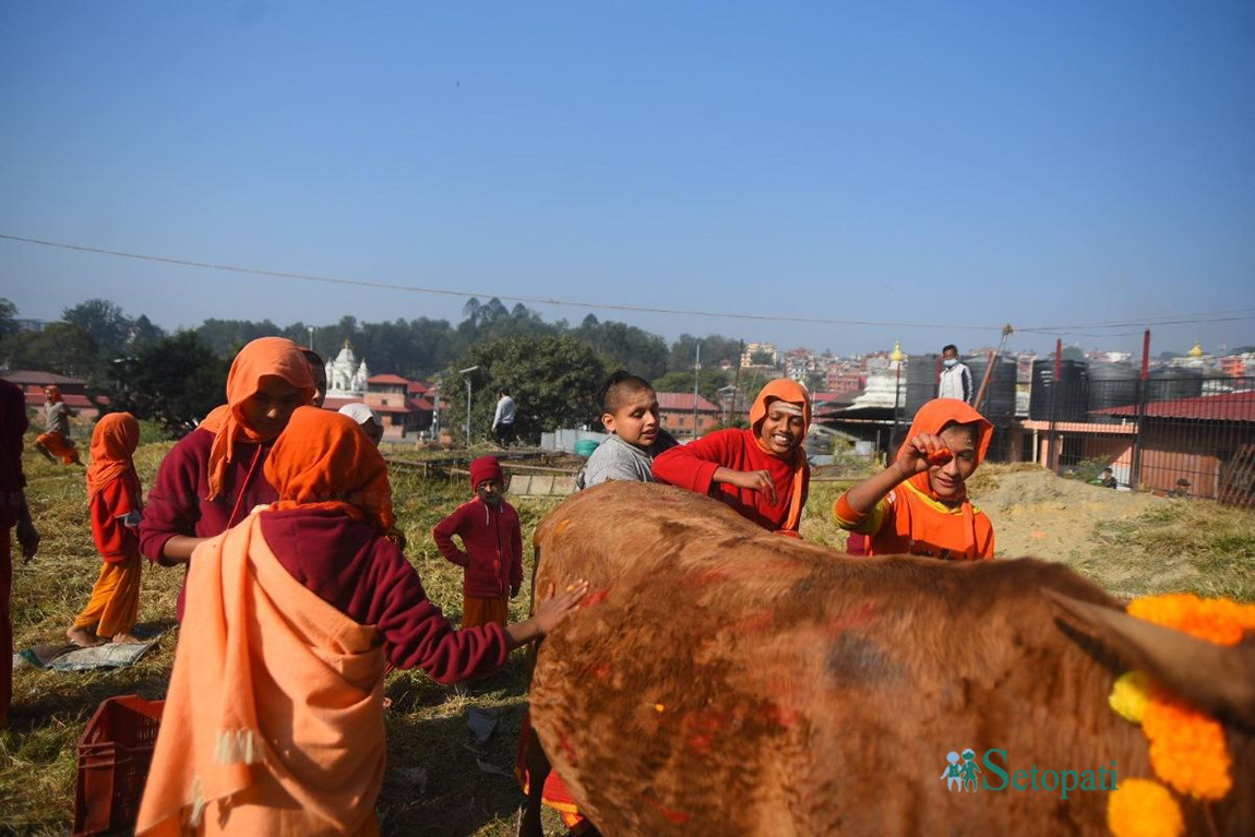आजका तस्बिर- कात्तिक २७