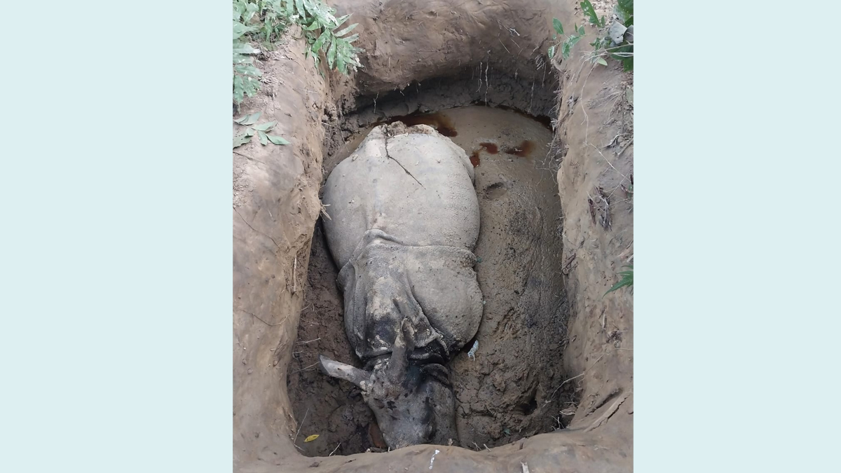 फाइल तस्बिर