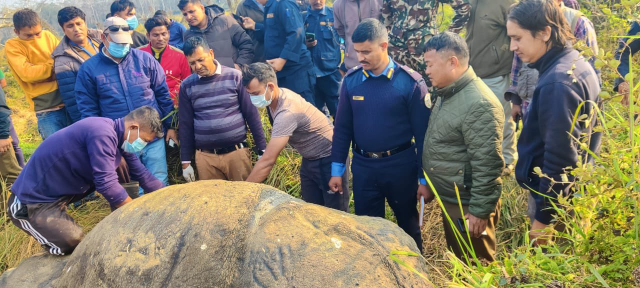 तस्बिर: दीपक दवाडी