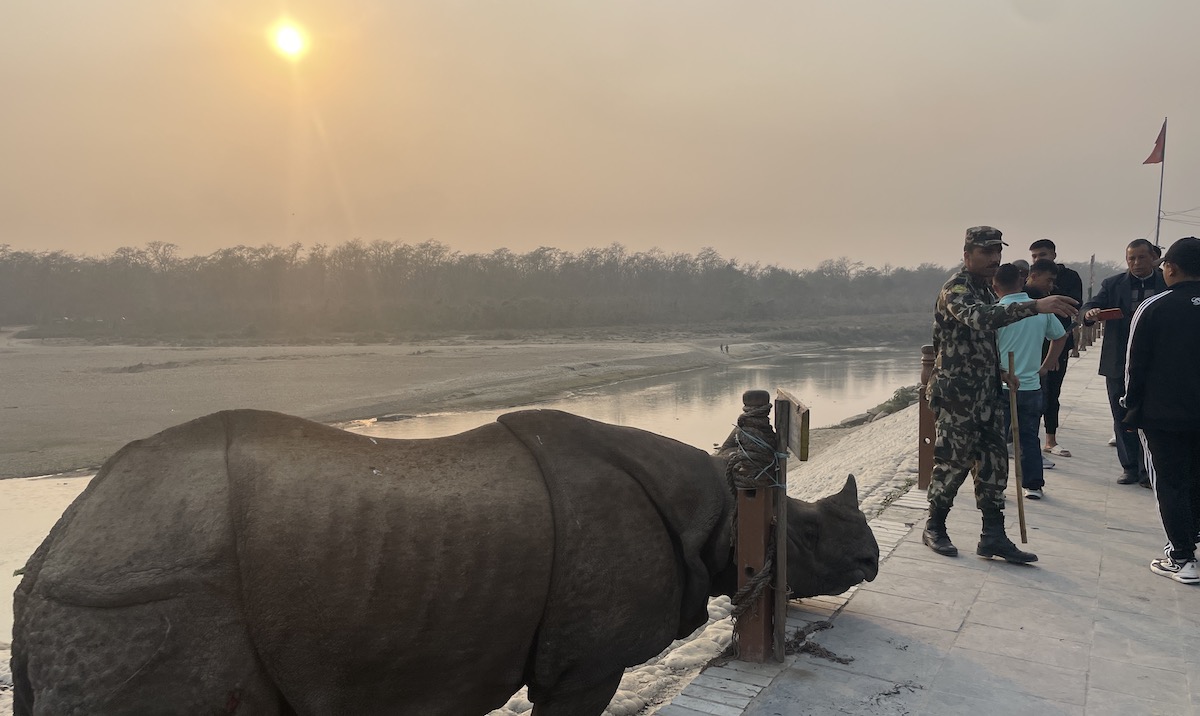 gaida-sauraha-1708408978.JPG