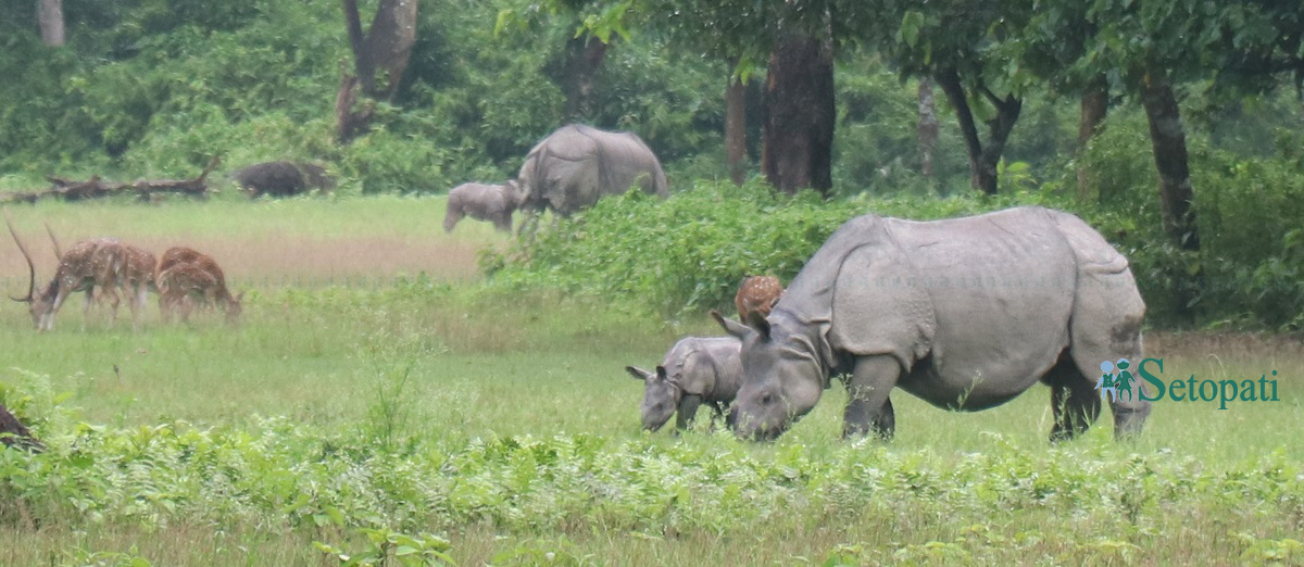 फाइल तस्बिर