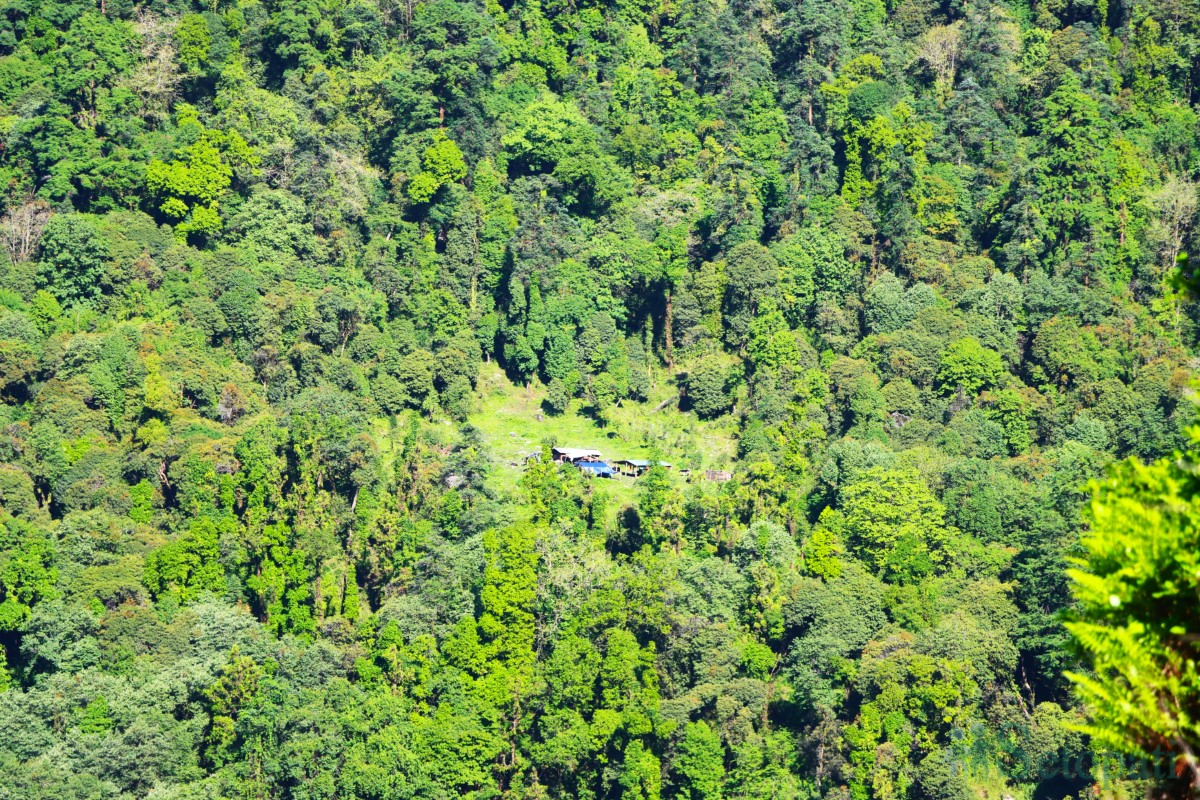 ghumfir-(12)-1749822190.jpg
