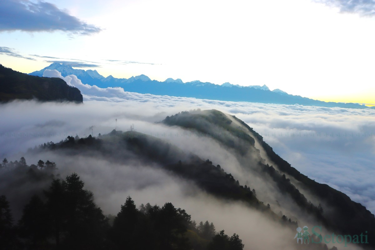 ghumfir-(2)-1760165159.jpg