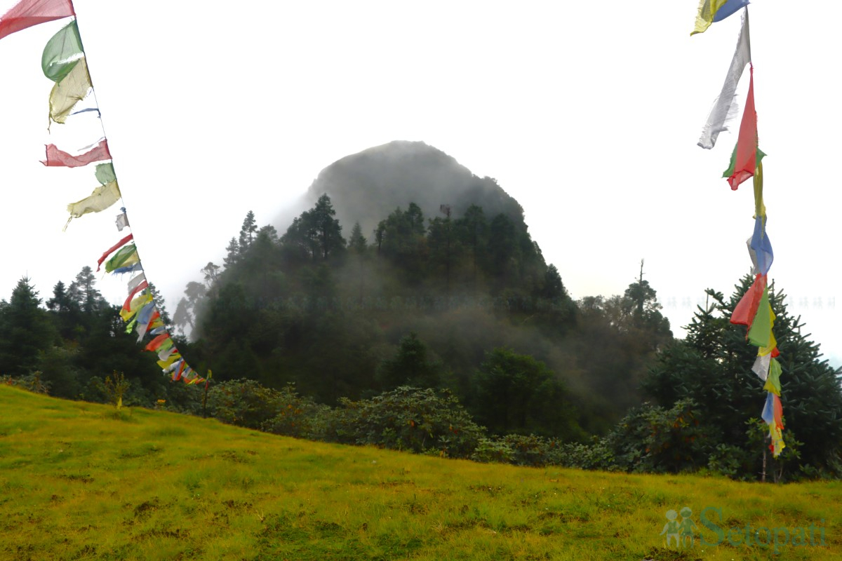 ghumfir-(6)-1760165160.jpg