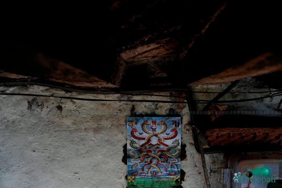 ghurkosh-nag-panchami-(2)-1786961166.jpeg