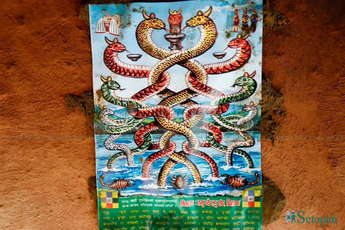 ghurkosh-nag-panchami-(4)-1786961166.jpeg