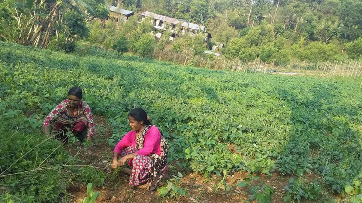 gulmi-aryal-dampati-story5-1758379000.jpg