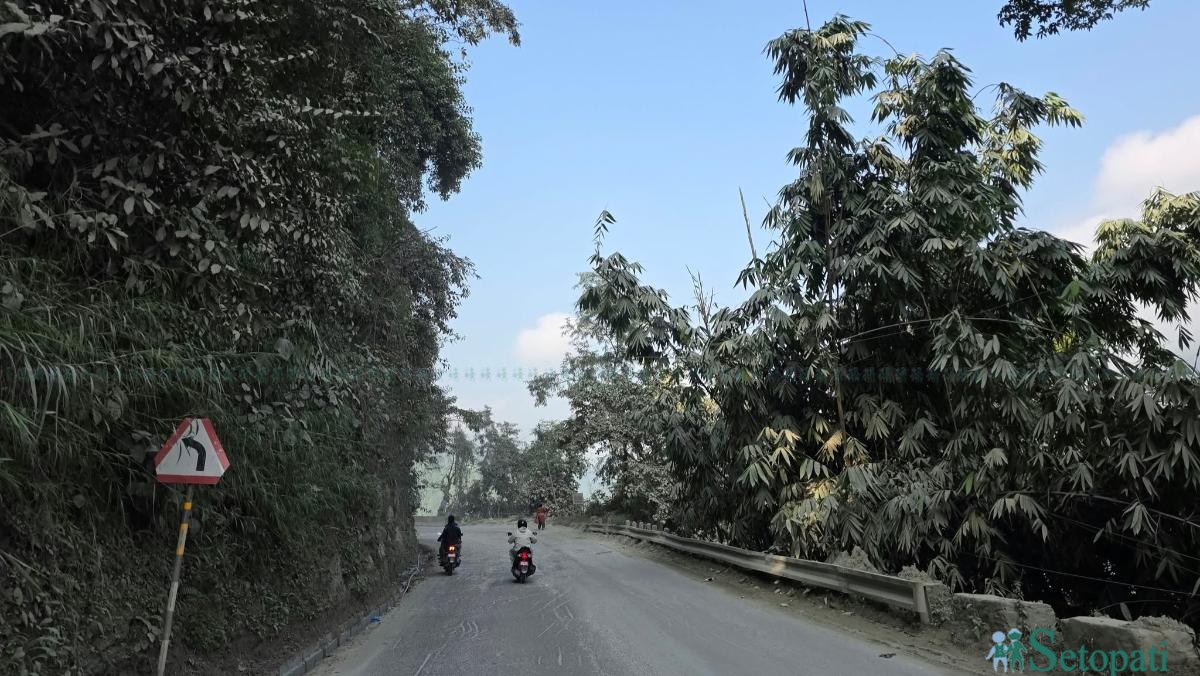 highway-(9)-1792213736.jpeg