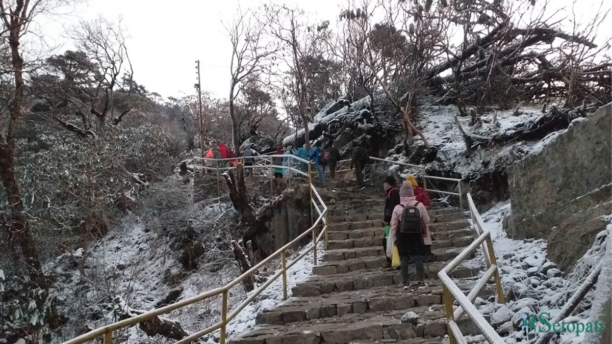 फाइल