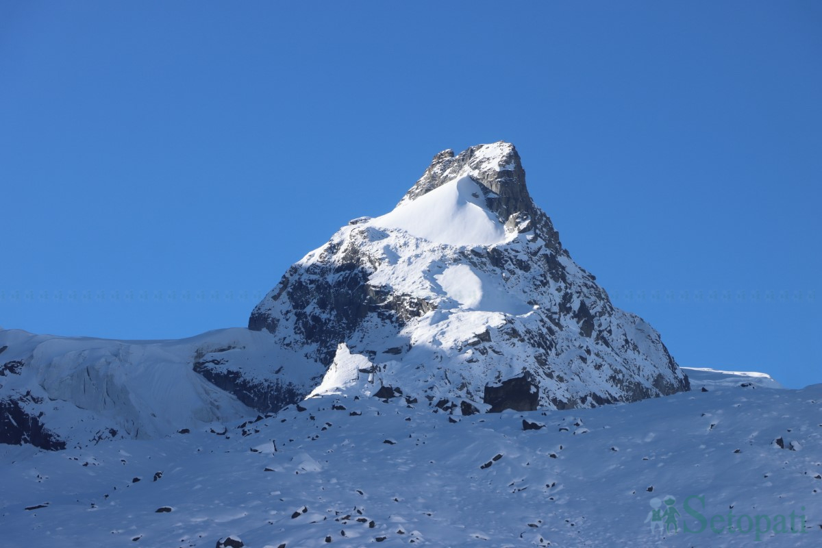 hiu-(15)-1761309775.jpg