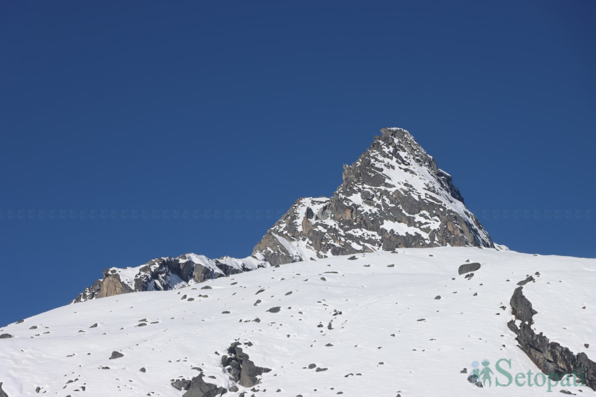 hiu-(16)-1761309776.jpg