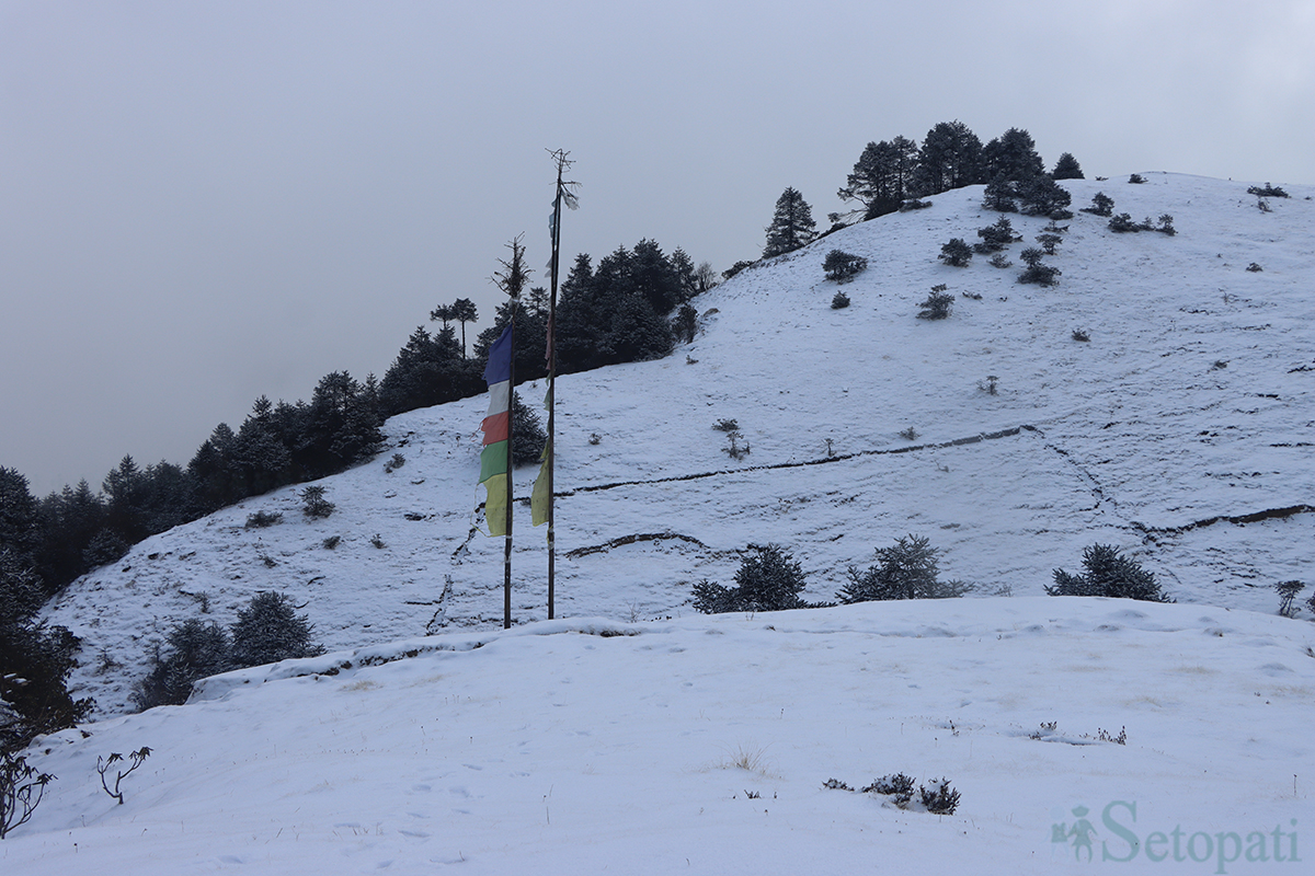 kalinchowk-(16)-copy-1705731081.jpg