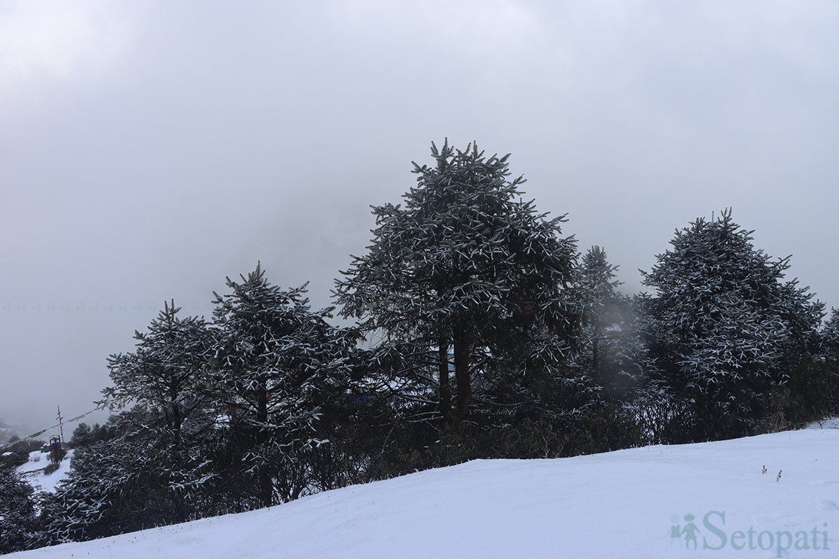 kalinchowk-(17)-copy-1705731081.jpg