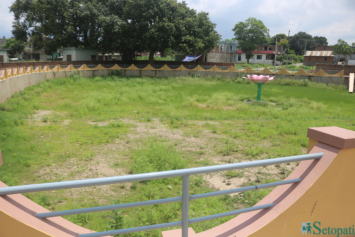 दाङको तुलसीपुर उपमहानगरपालिकाको कमलपोखरी। डेढ करोड रुपैयाँ खर्च गरेर कंक्रिटका संरचना बनाइएको पोखरीमा एक थोपा पानी छैन। तस्बिर: नारायण खड्का/सेतोपाटी।