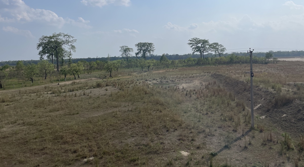 वर्षौं पछि खाली भएको निकुञ्जभित्रको पार्क। यो ठाउँलाई वन्यजन्तु सिमावारपार गर्ने करिडोर मानिन्छ। तस्बिर : राजेश घिमिरे/सेतोपाटी