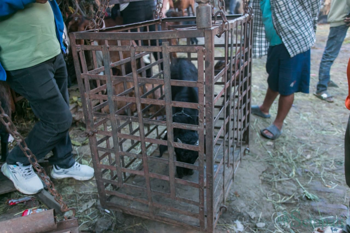 khasi-(17)-1792227079.jpg