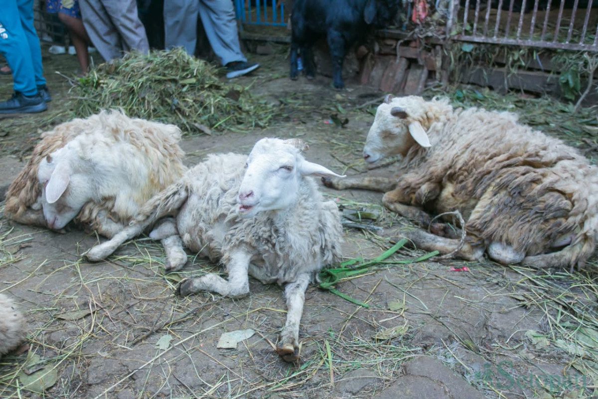 khasi-(19)-1792227079.jpg