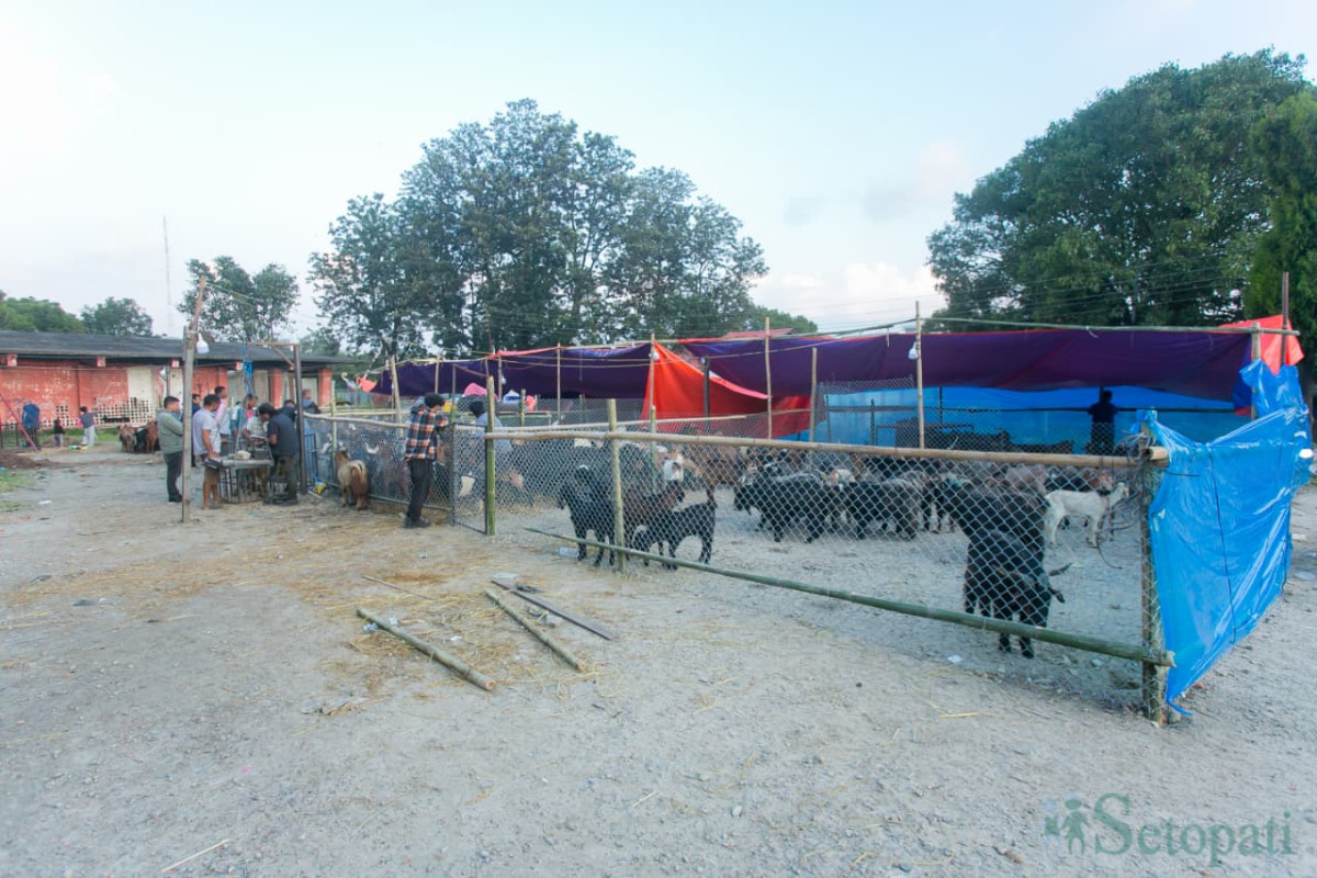 khasi-(2)-1792227076.jpg