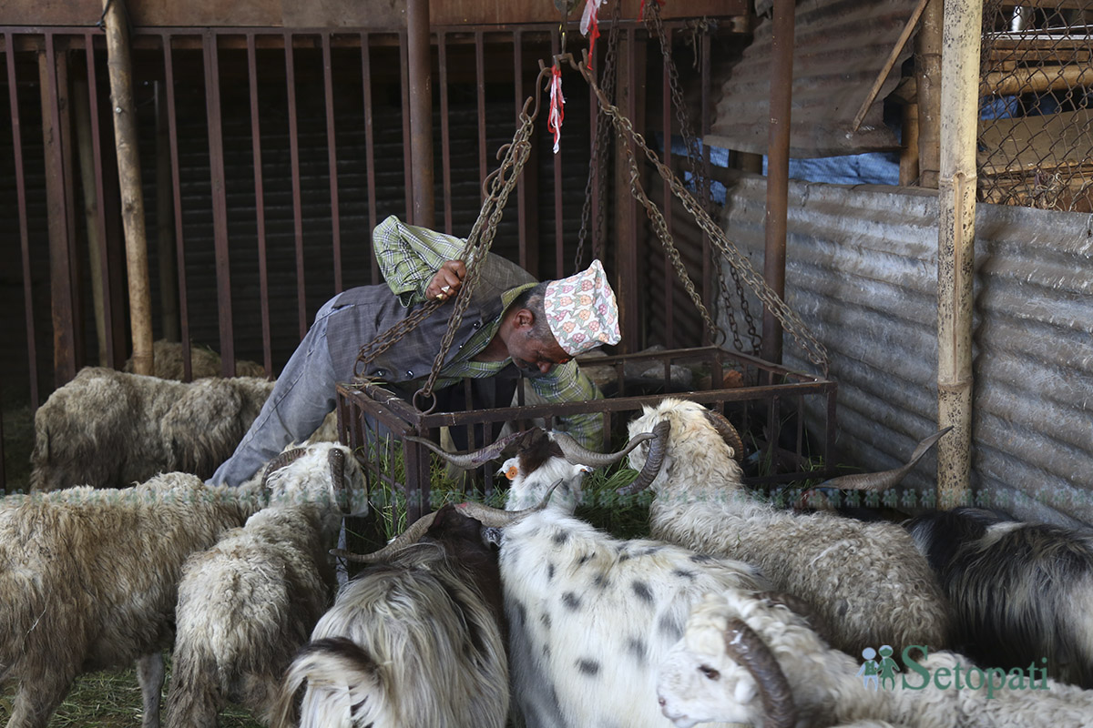 khasi-boka-(15)-1758694453.jpg