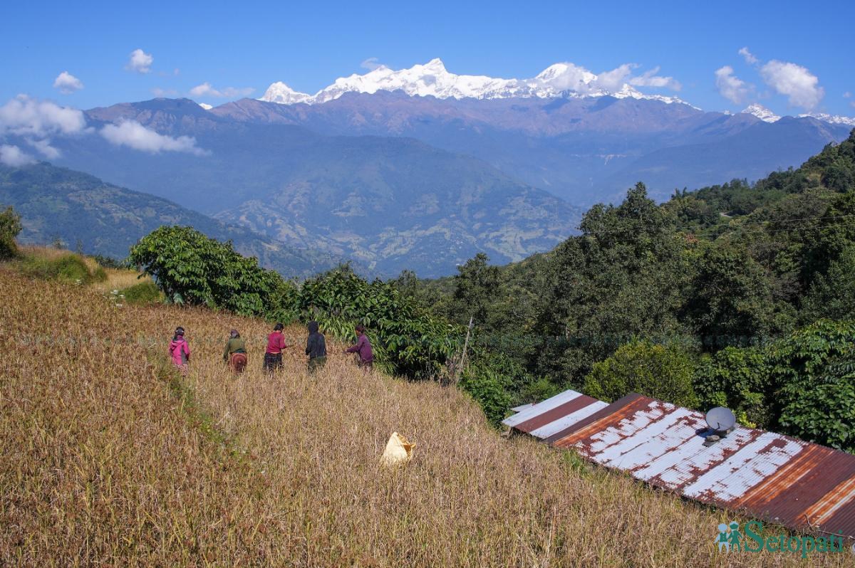 kodo-gorkha-(8)-1792897315.jpeg
