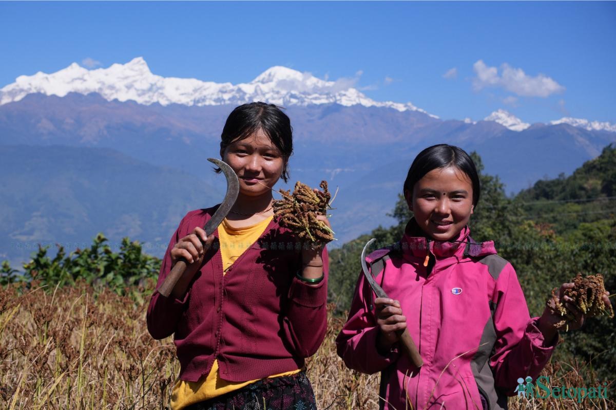 kodo-gorkha-(9)-1792897315.jpeg