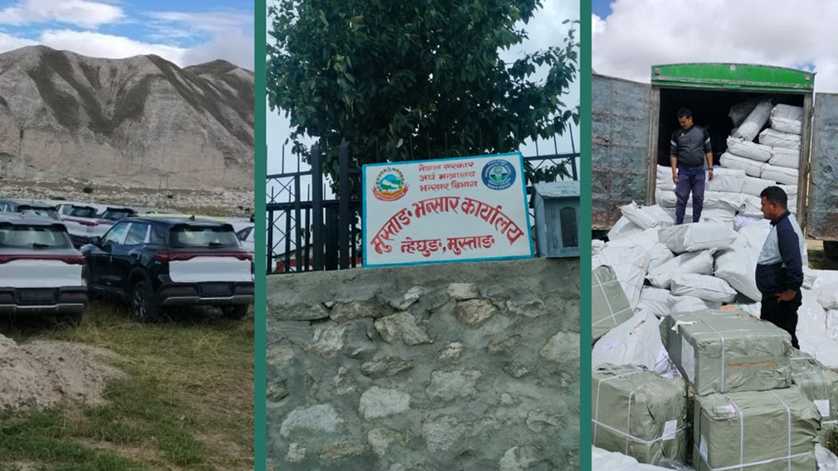 फाइल तस्बिर।