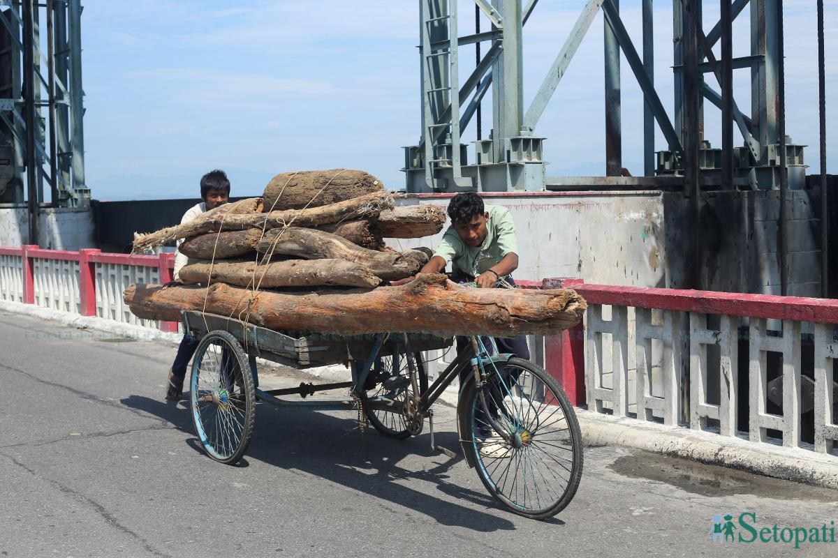 koshi-barrage-2083-06-10-(13)-1790426457.jpeg