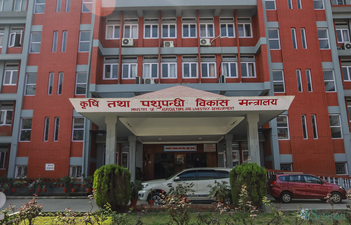 फाइल