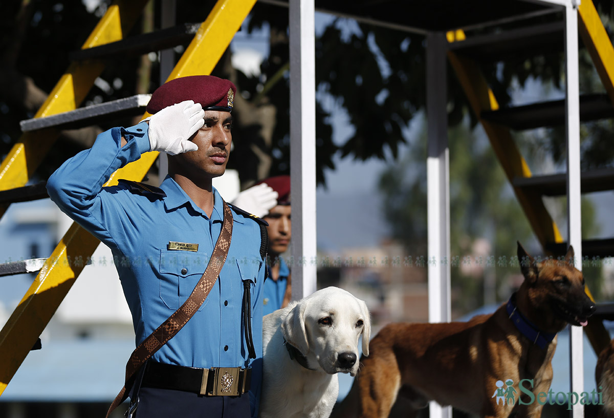 kukur-tihar--(3)-1760936758.jpg