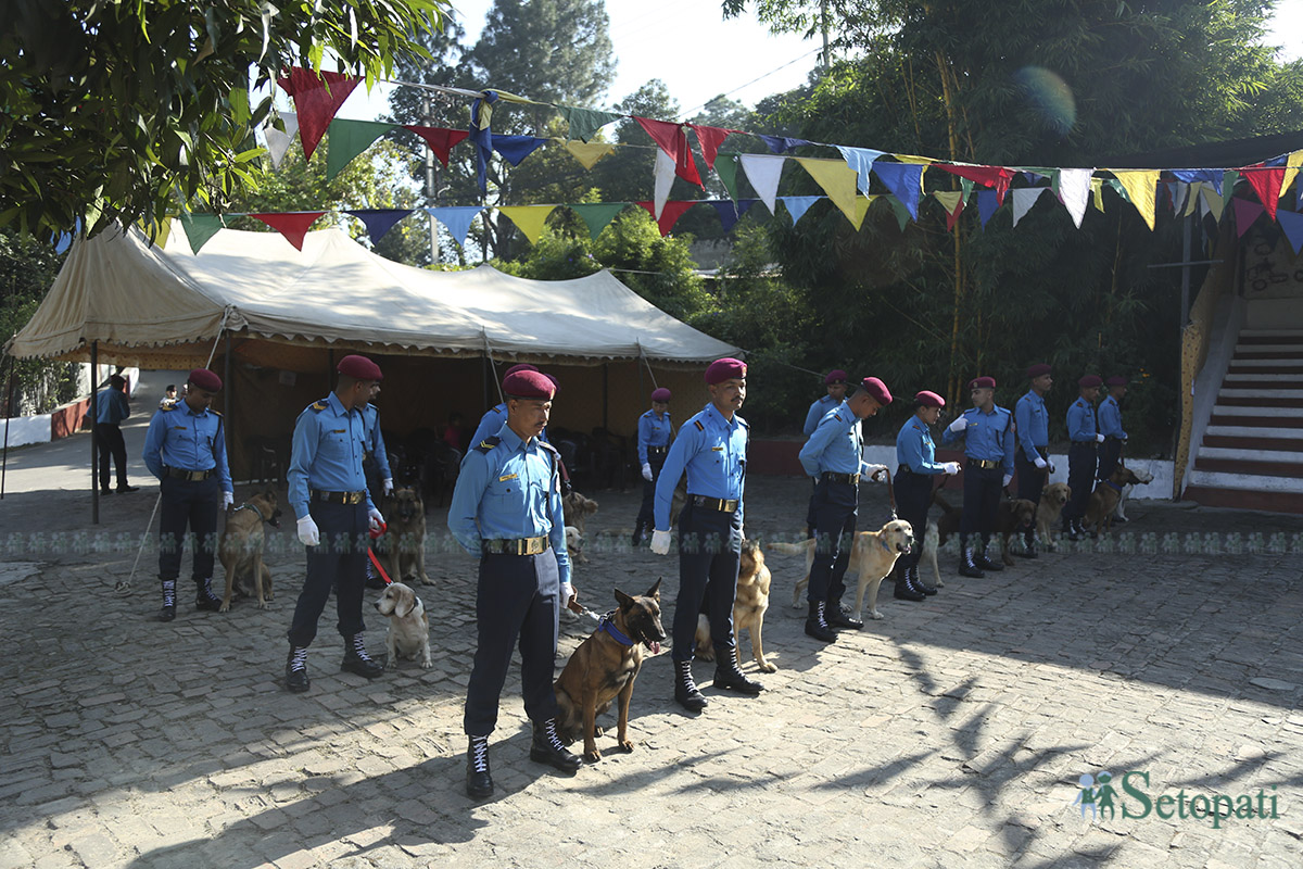 kukur-tihar--(5)-1760936759.jpg