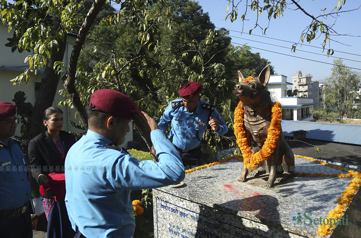 kukur-tihar--(6)-1760936759.jpg