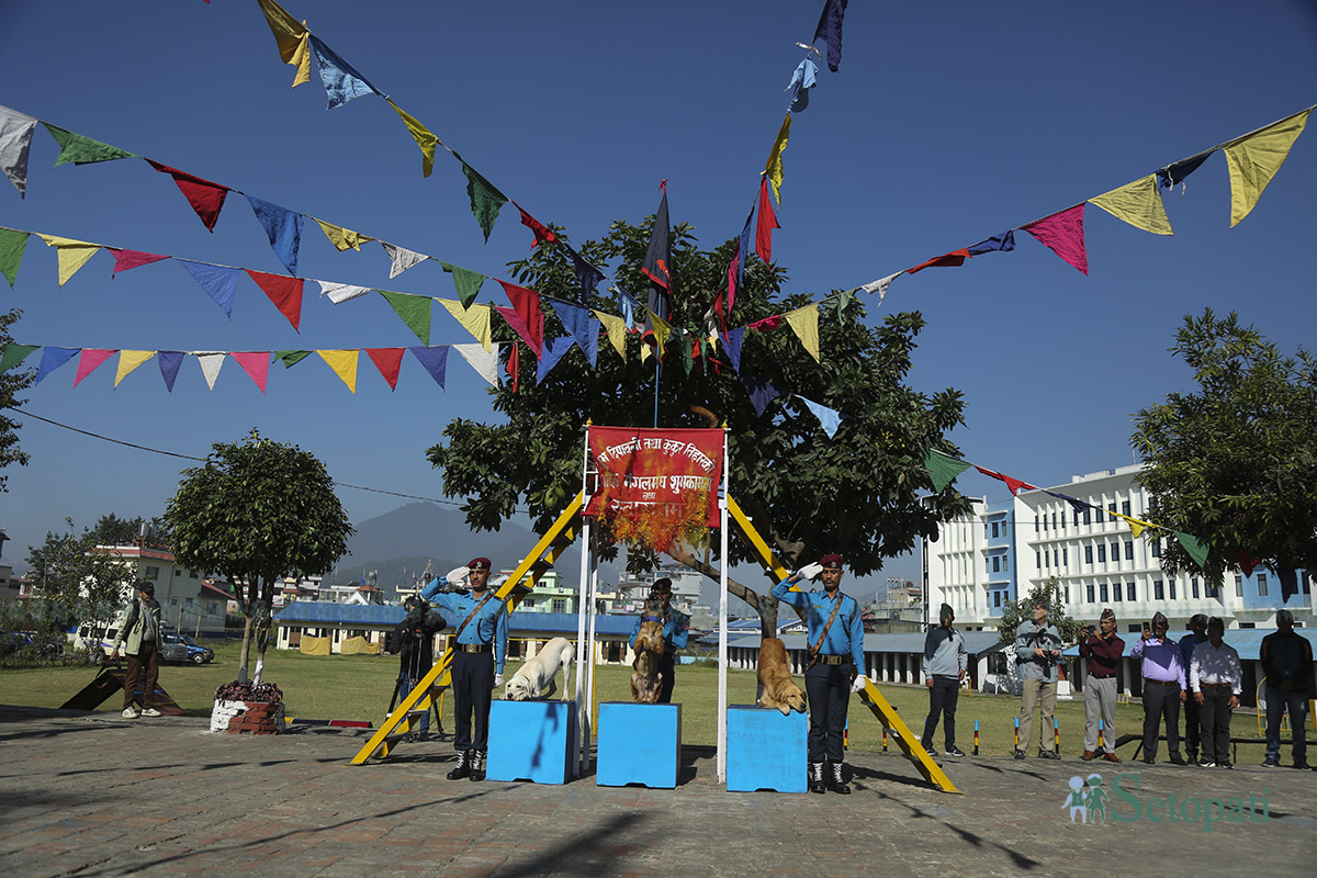 kukur-tihar--(7)-1760936759.jpg
