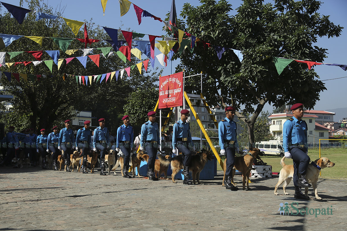 kukur-tihar--(8)-1760936759.jpg