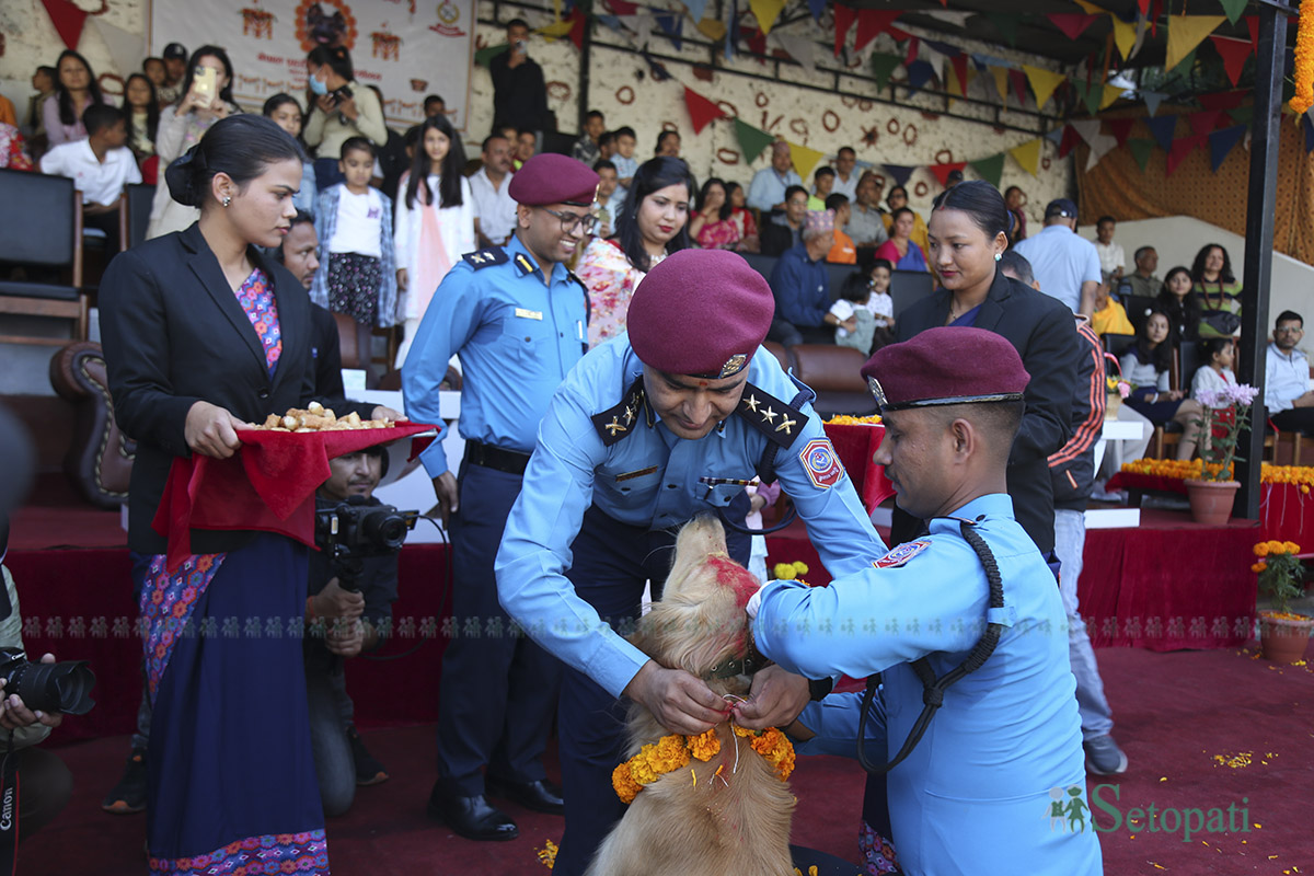 kukur-tihar--(9)-1760936760.jpg