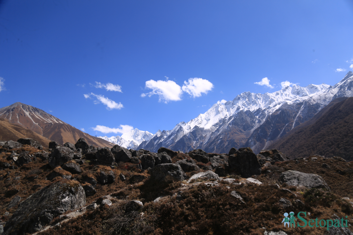 फाइल तस्बिर