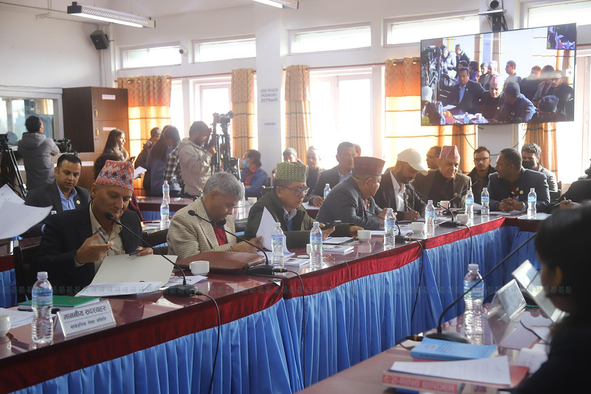 तस्बिर: निशा भण्डारी