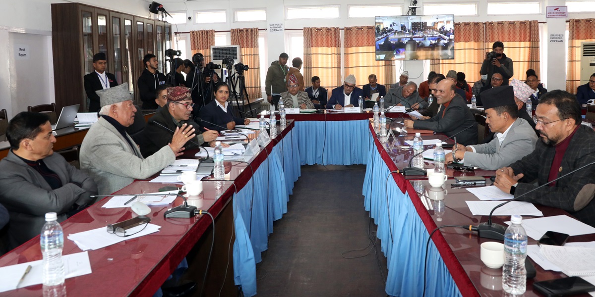 सार्वजनिक लेखा समितिको बैठक। तस्बिरः रत्न श्रेष्ठ/रासस